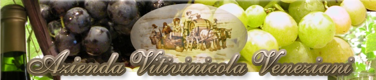 Azienda Vitivinicola Veneziani